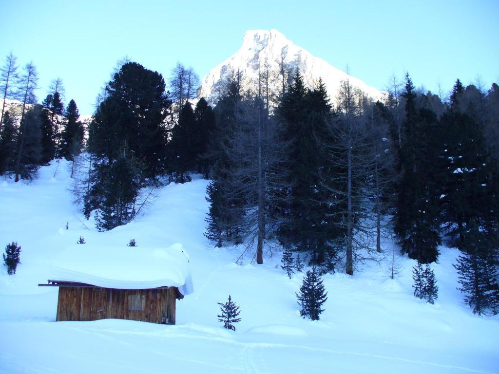 Hotel El Geiger Pozza di Fassa Eksteriør bilde